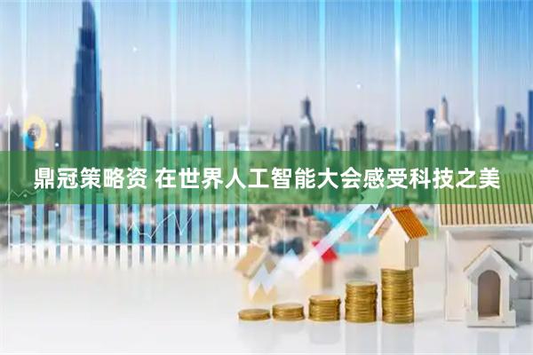 鼎冠策略资 在世界人工智能大会感受科技之美