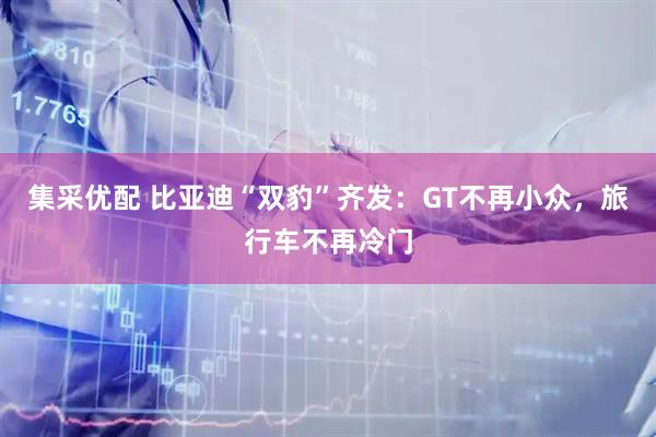集采优配 比亚迪“双豹”齐发：GT不再小众，旅行车不再冷门