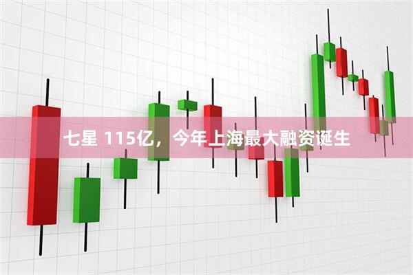 七星 115亿，今年上海最大融资诞生