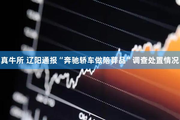 真牛所 辽阳通报“奔驰轿车做陪葬品”调查处置情况